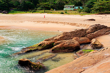 Trindade